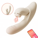 Swan - Lustory