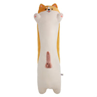 PawPal Kitty - Lustory
