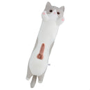 PawPal Kitty - Lustory